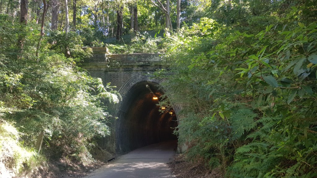 Entrance to the Fernleigh Tunnel