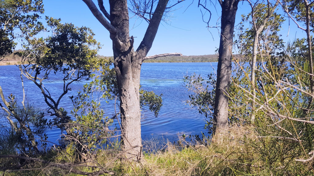 Belmont Lagoon