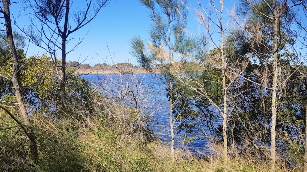 Belmont Lagoon