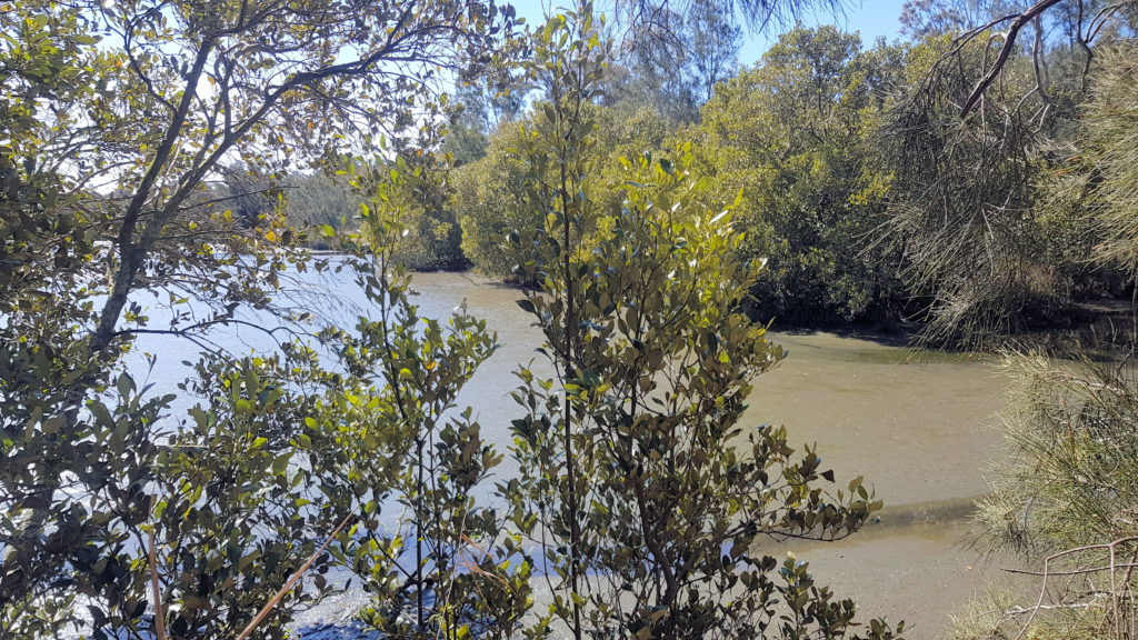 Belmont Lagoon