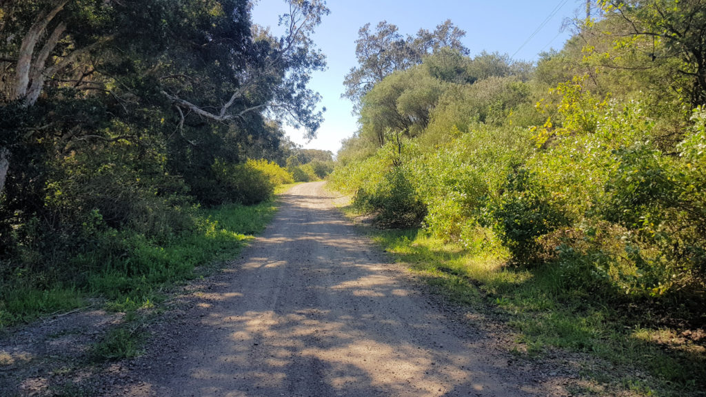 Kalaroo Fire Trail