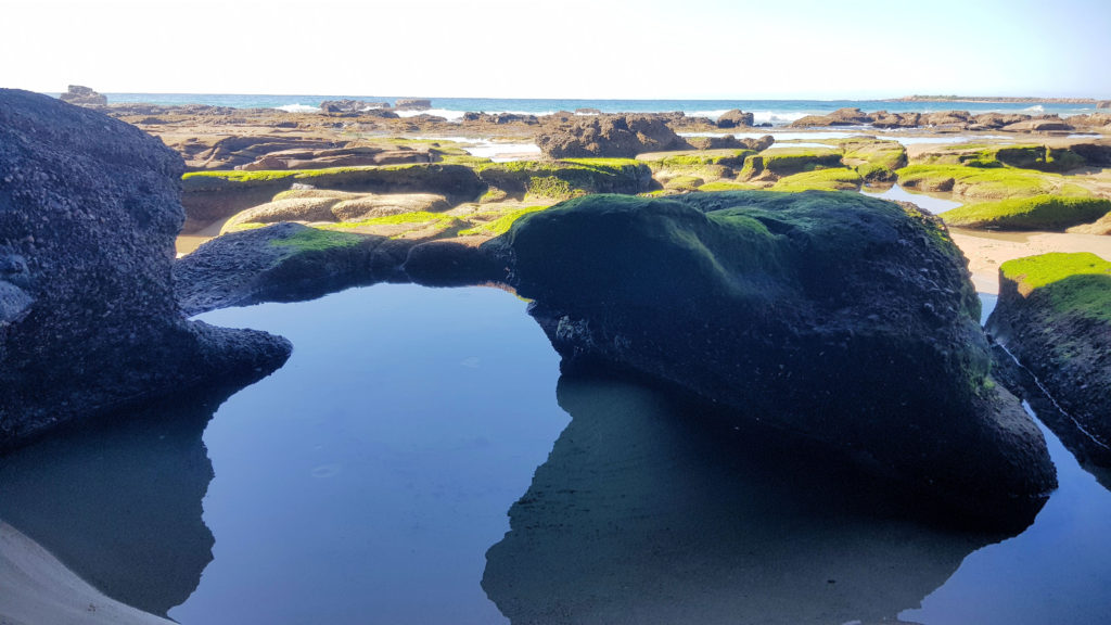 Rock Pools