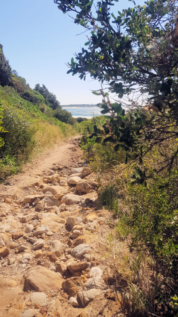 Walking Trail to Spoon Rocks Lookout