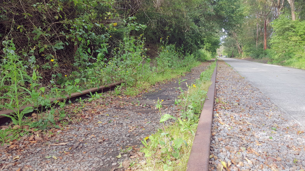 Old Railway Tracks