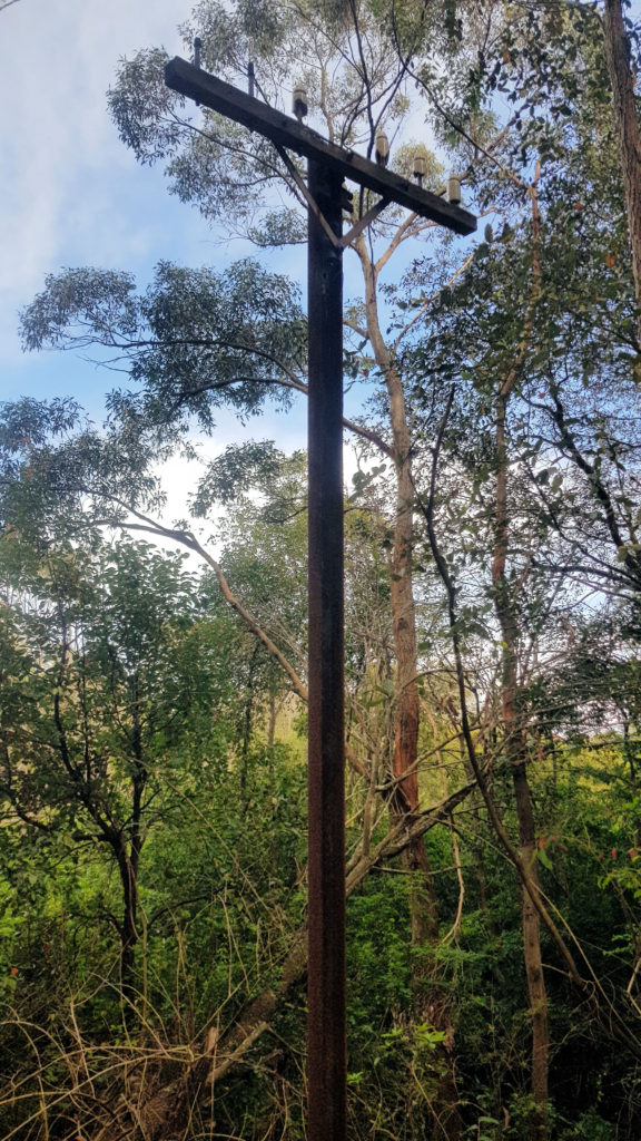 Old Telegraph Pole