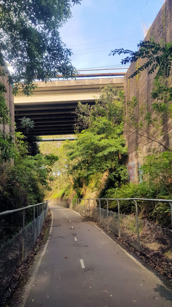 Pacific Highway Overpass