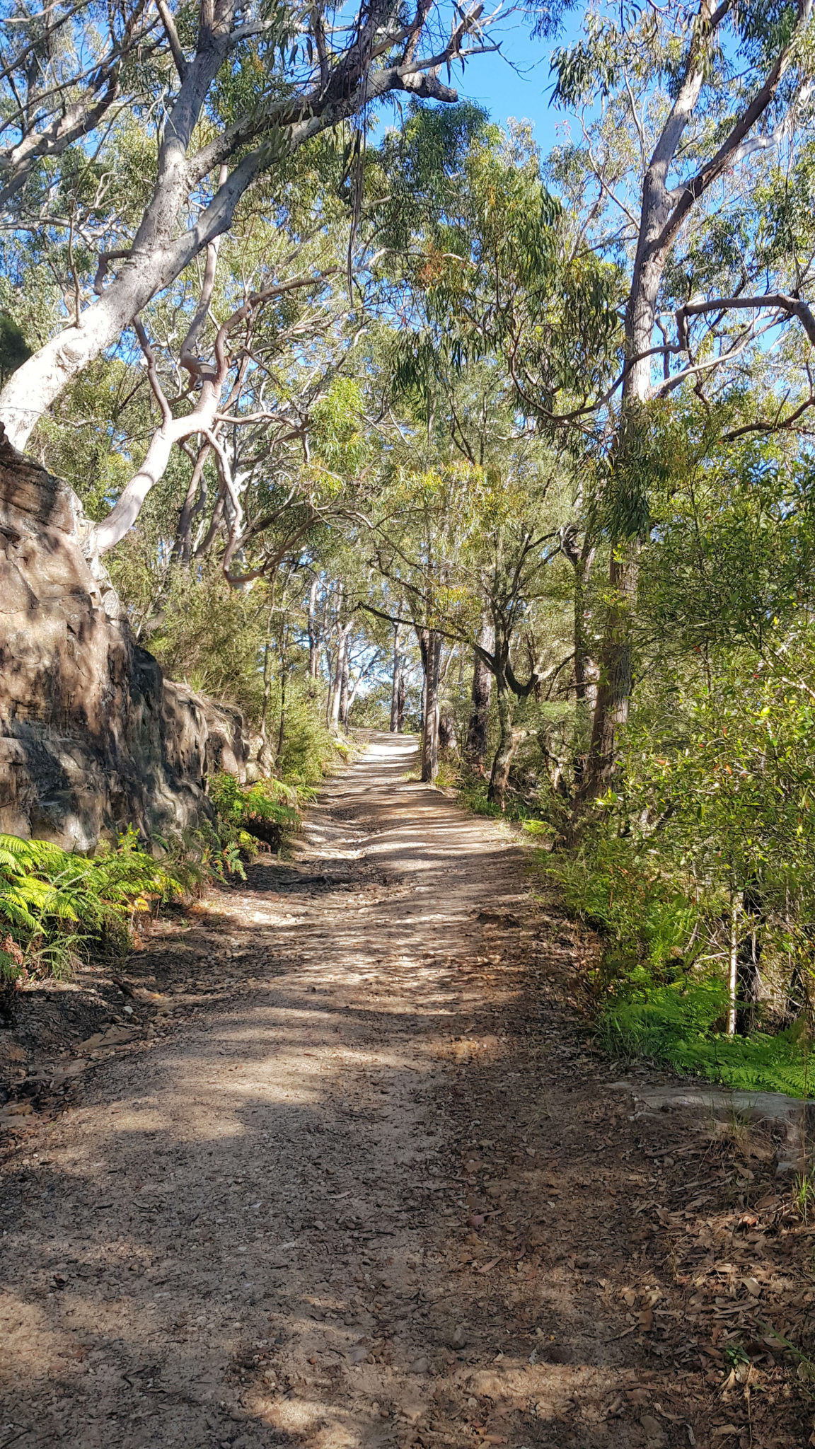 Pearl Beach Patonga Firetrail Bushwalking - Destination's Journey