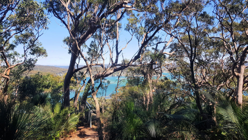 The View From Allen Strom Lookout