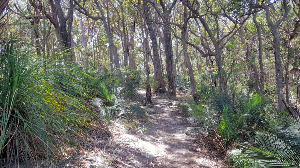 Rocky Point Trail