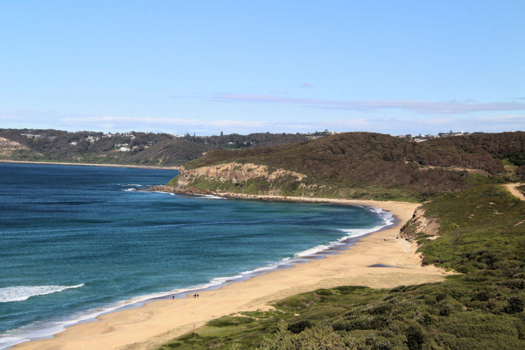 Burwood Beach