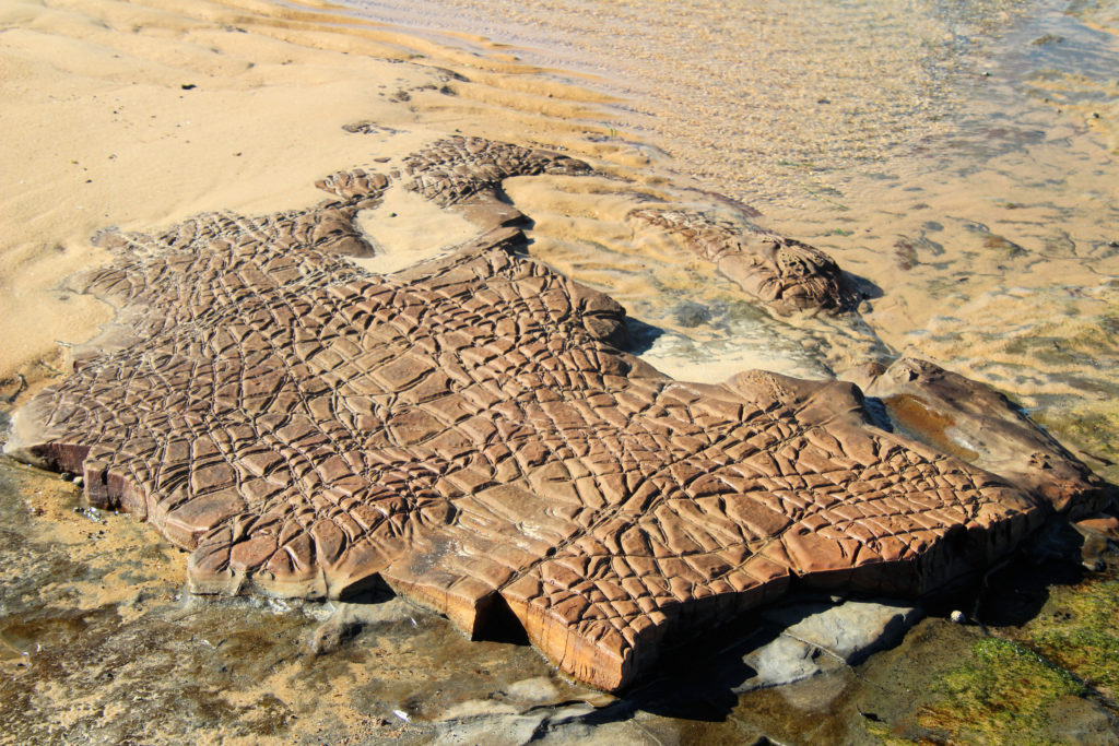 Rock Formation Burwood Rock Platform