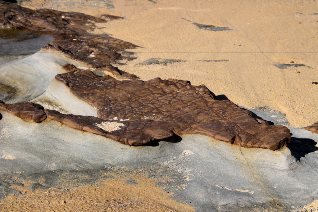 Rock Formation Burwood Rock Platform