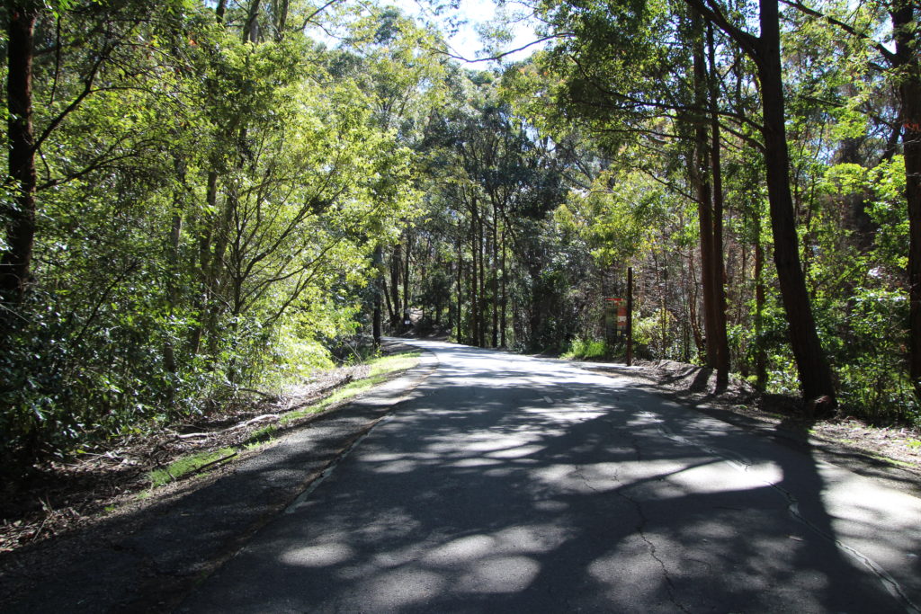 Fernleigh Track