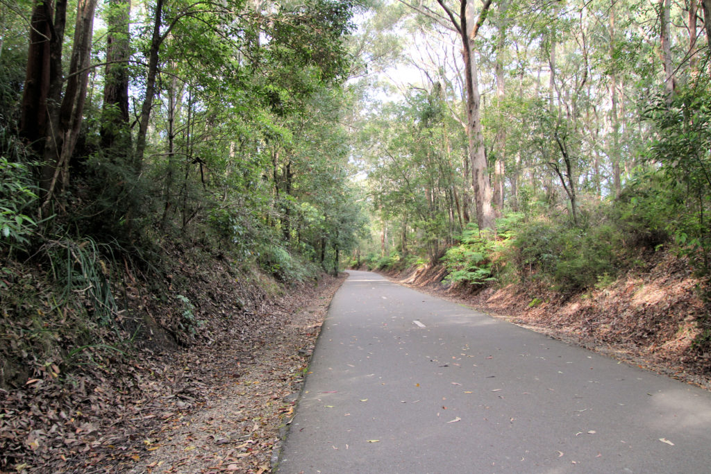 Fernleigh Track