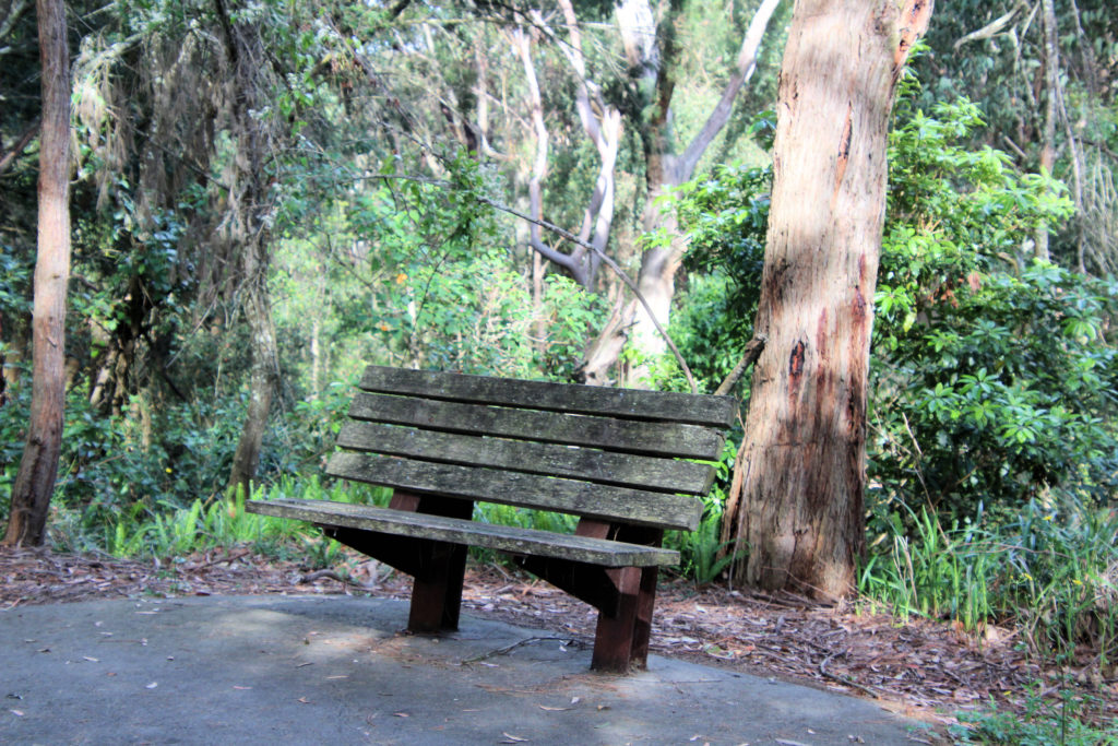 Old Bench Seat