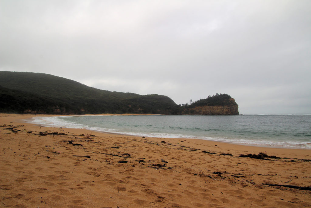 Maitland Bay Beach