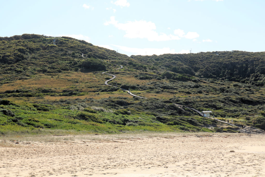 Walking Trail Winding Down to the Beach