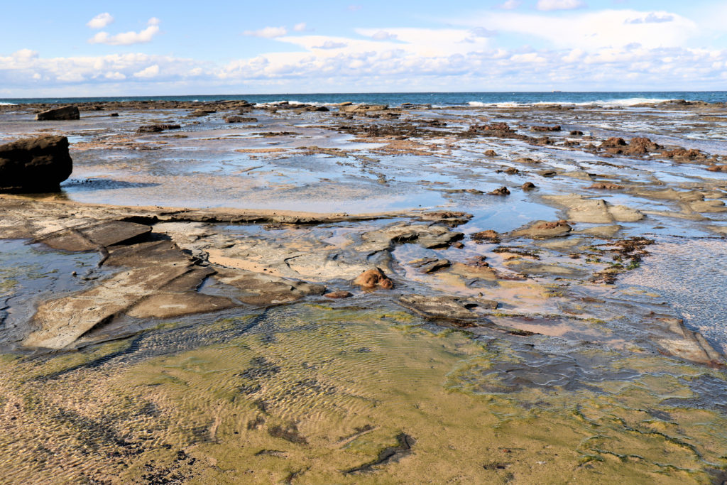 Rock Platform