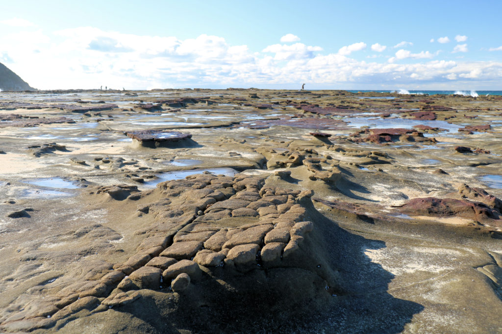 Rock Formation Burwood Rock Platform