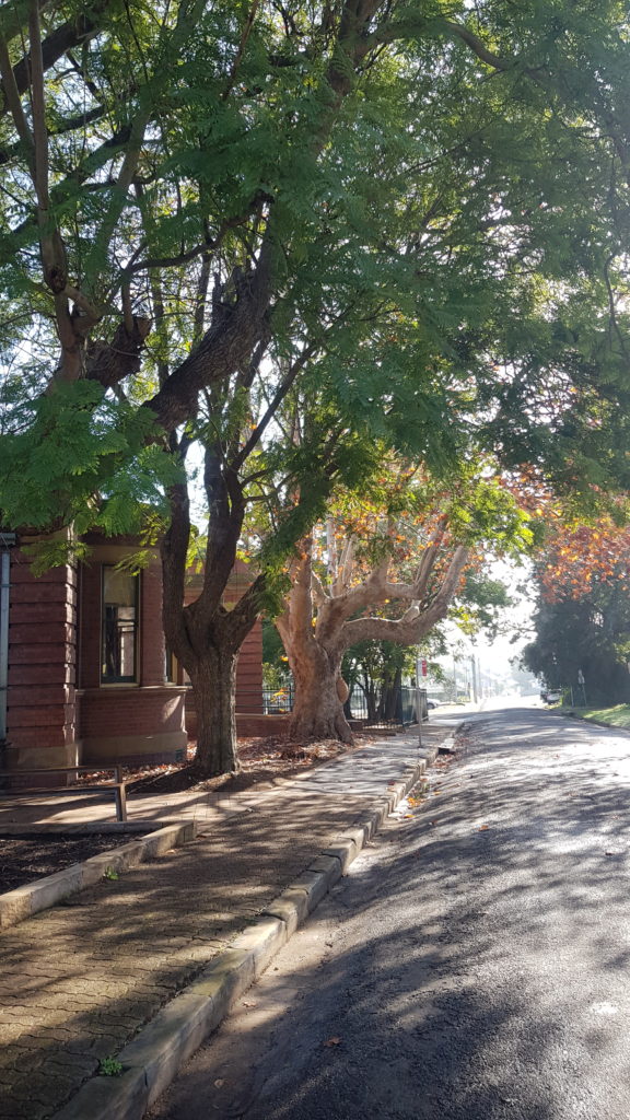 Street by the Court House