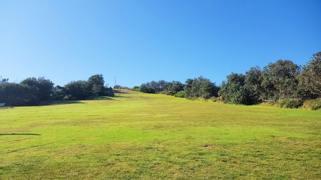 The Grassed Surface of the Skillion Terrigal