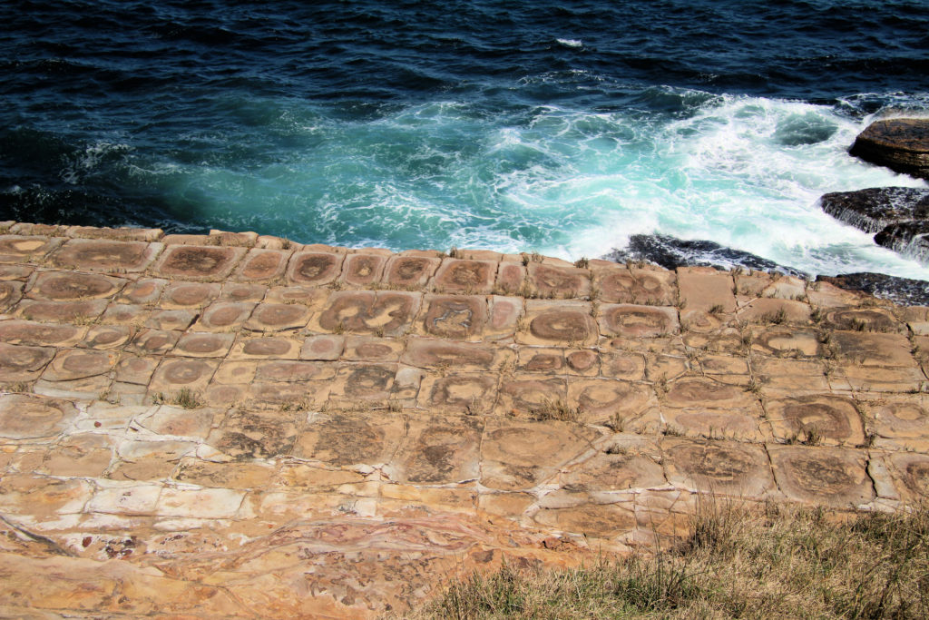 Tessellated Pavement