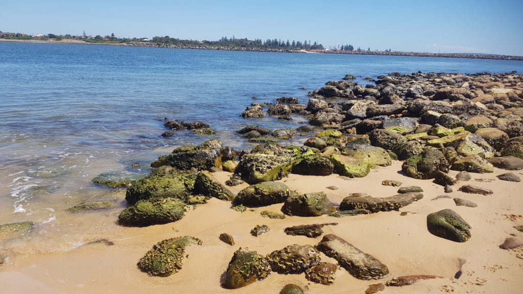 Looking Across the Harbour From Horseshoe Beach