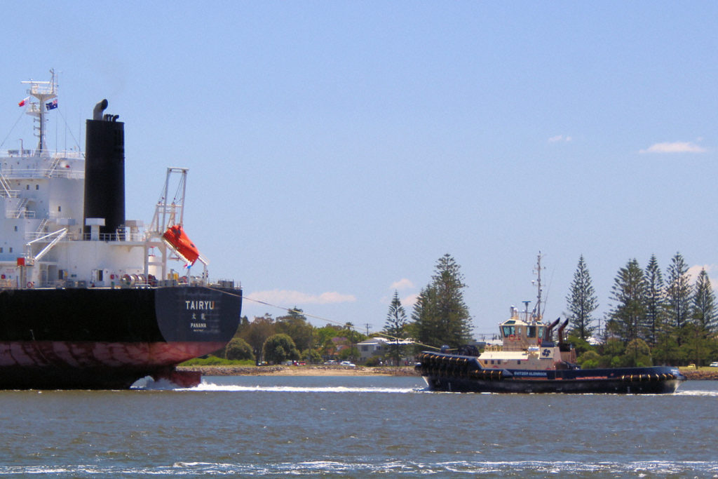 Tairyu and Harbour Tug Svitzer Glenrock at Newcastle Harbour 11 November 2020