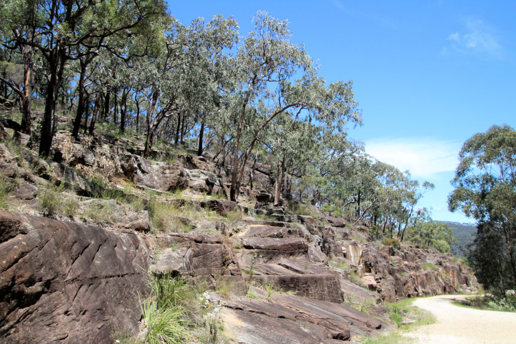 The Quarry Site on the Great North Road