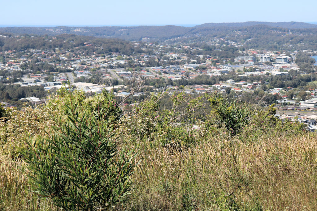 View over Warners Bay