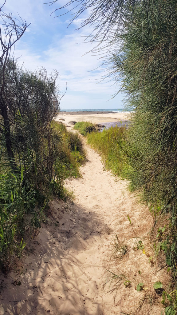 The Track Down to Moonee Beach