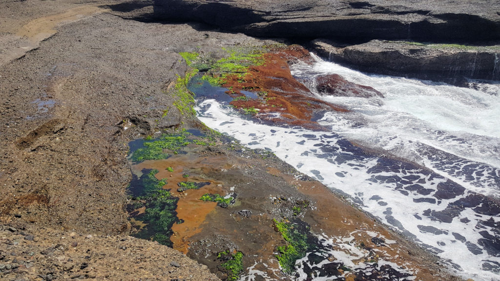 The Rock Platform