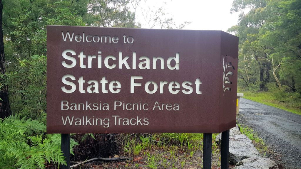 Entry Sign to the Strickland State Forest