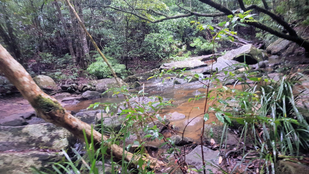 Stoney Creek Crossing