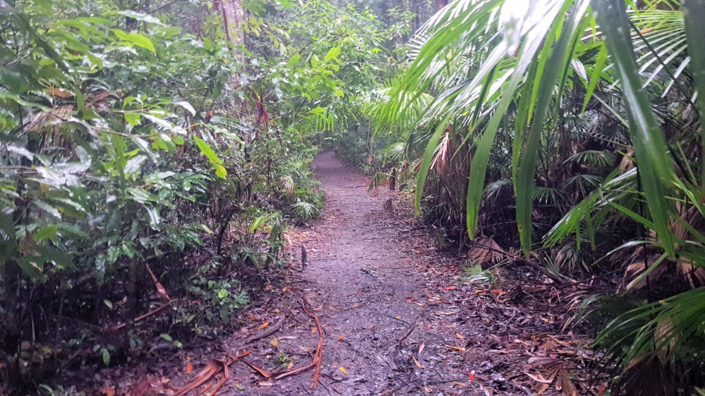 Arboretum Loop Track