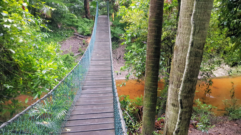 Suspension Bridge Over Narara Creek