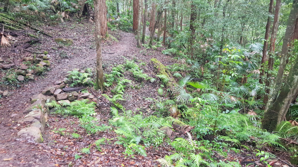 The Bellbird Track