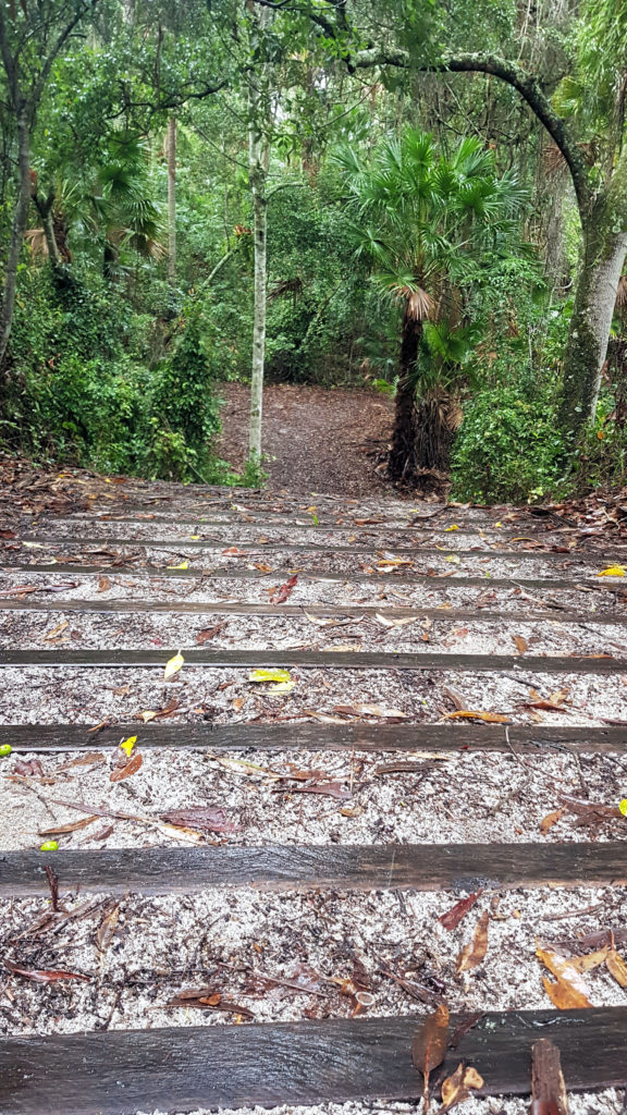 Steep Descent on the Track Reinforced With Wooden Sleepers Wyrrabalong National Park