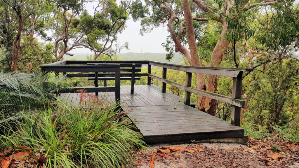 Lookout and Seat on the Red Gum Loop Track