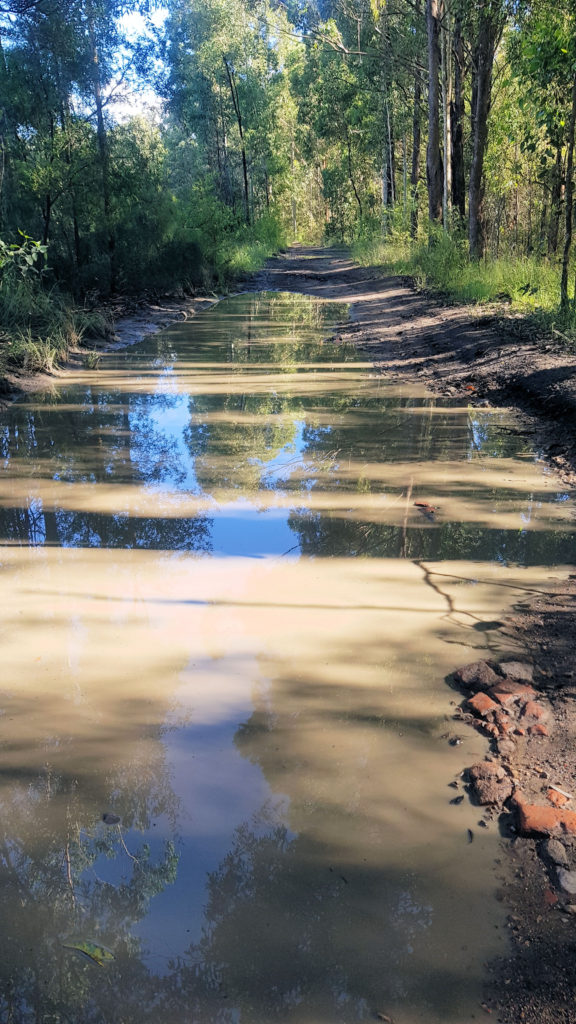 Access Track After Rain