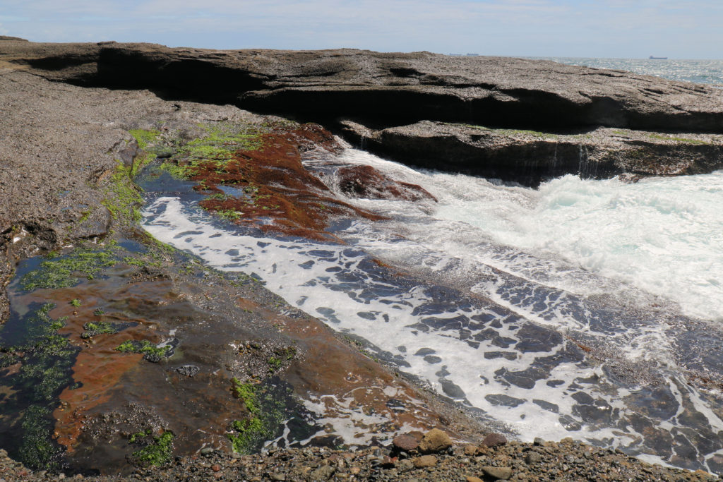 The Rock Platform