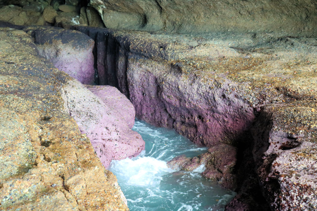 The Pink Cave