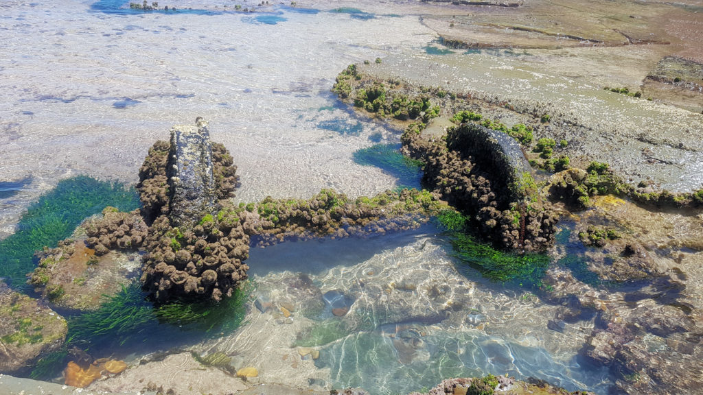 Railway Wheel Covered in Marine Growth