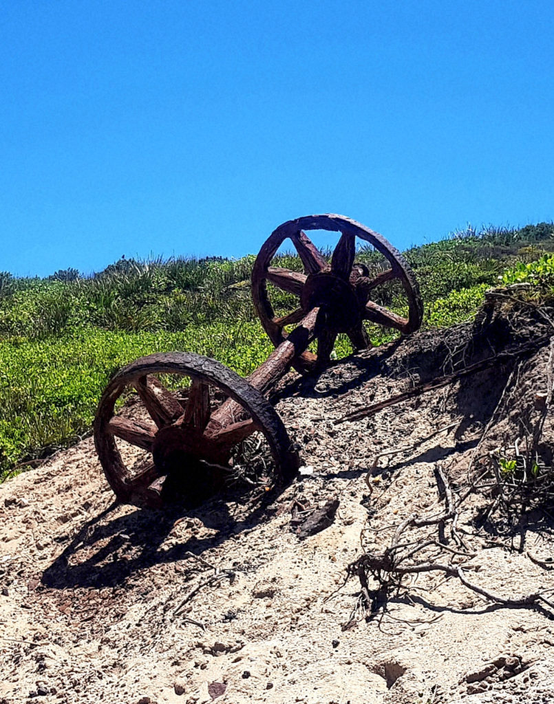 Rusty Rail Wheel at Burwood Beach Burwood Beach Mining Heritage