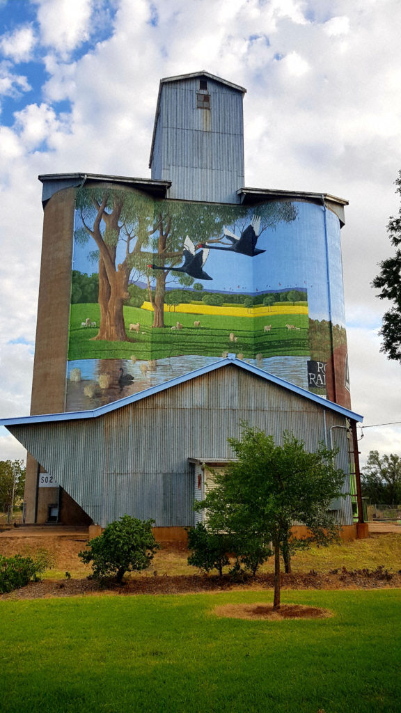 Local Wildlife on the Dunedoo Silo