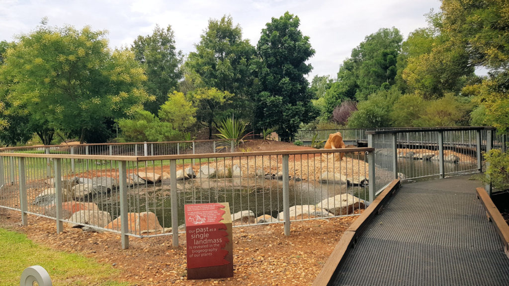 Boardwalk Through Oasis Valley