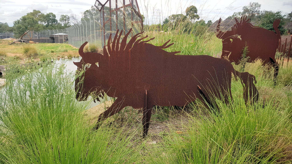 Wildebeest Silhouettes