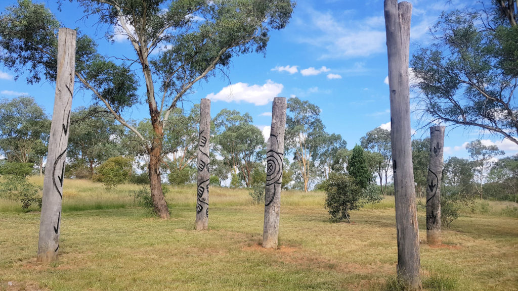 Carved Trees as a Remembrance of the Kamilaroi Peoples and their Ancestral Animals Totemic Beings