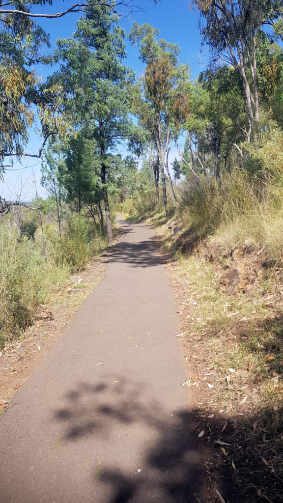 Bitumen Paved Access Track