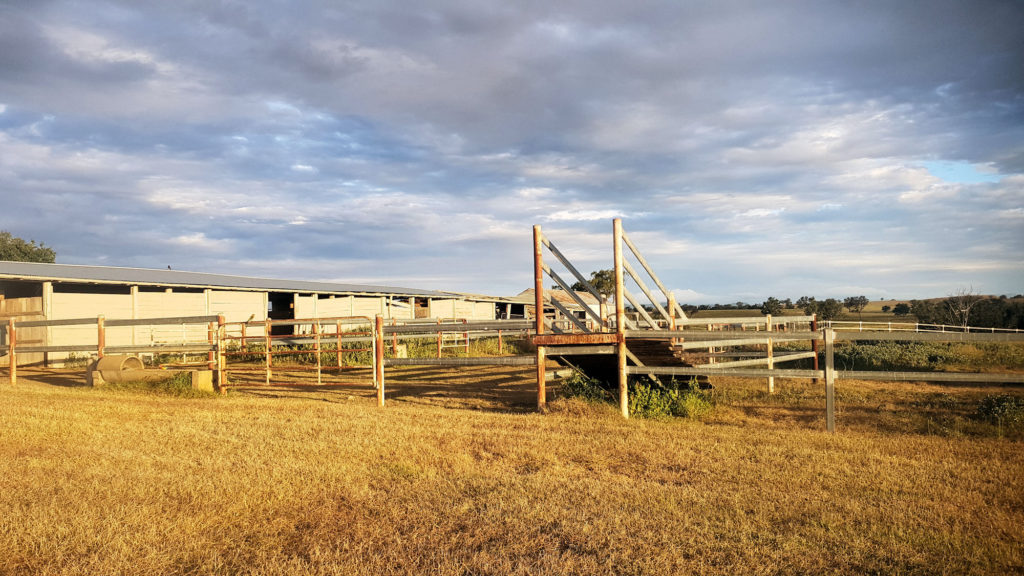 Cattle Yards